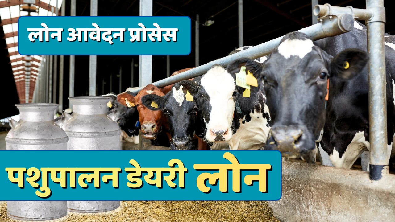 dairy loan apply