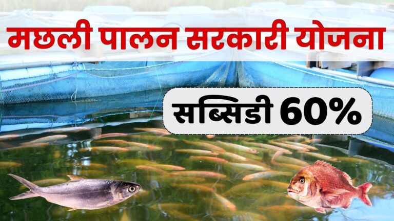 Fish Farming Business – Loan, Subsidy & Business Detail.