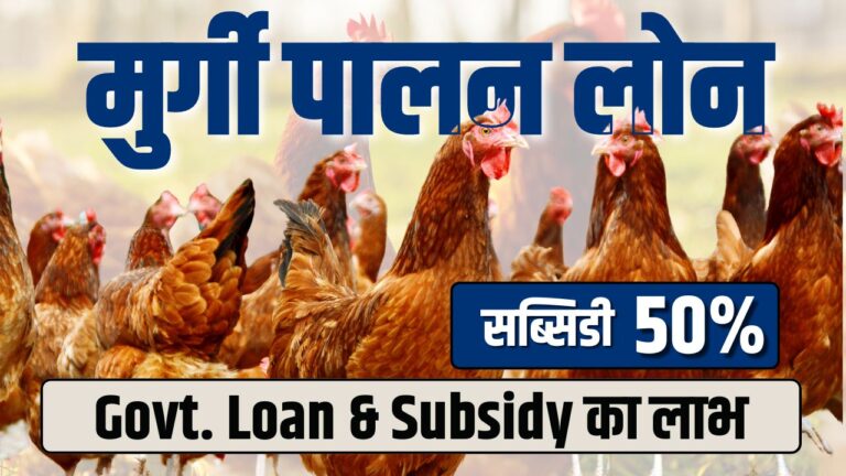 How To Get Poultry Farming Business Loan .